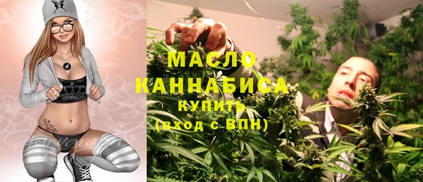 индика Беломорск
